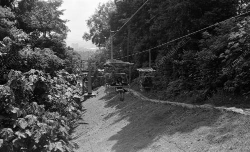 KL39_19012015_BUKIT_NANAS
