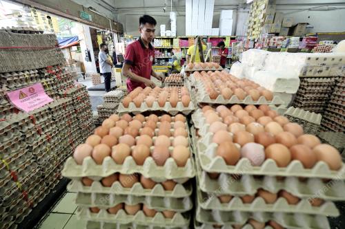TINJAUAN HARGA BARANG KEPERLUAN HARIAN