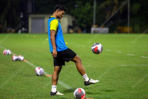 LATIHAN HARIMAU MALAYA
