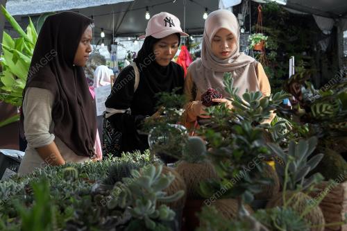 KL39_24112018_MAHA2018_BN201811214299