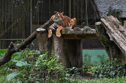 ZOO NEGARA