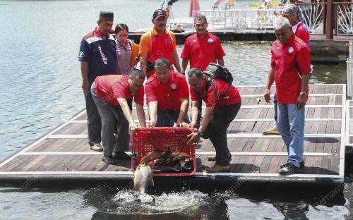 KL39_27072017_DBKL_BN201707250880