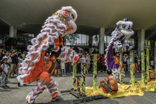 TARIAN SINGA ZOO NEGARA