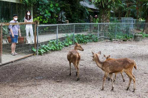 ZOO NEGARA