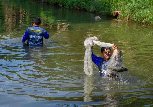 KOMUNITI PEMBURU IKAN BANDARAYA