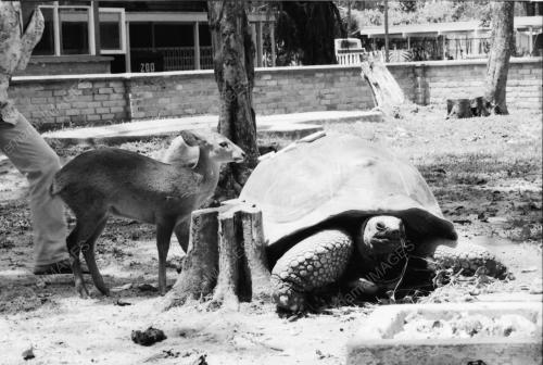 ZOO NEGARA