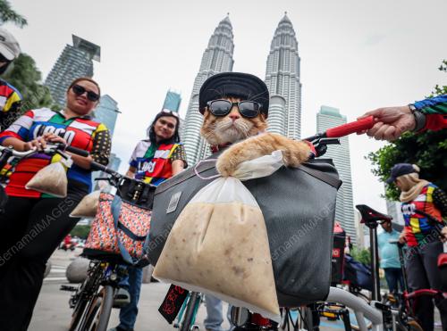 KING OYEN