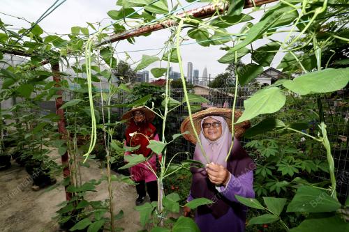 KEBUN KOMUNITI DALAM BANDAR