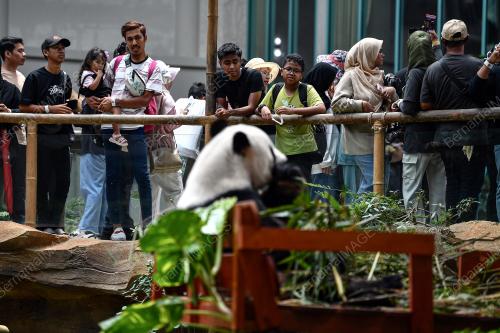 TINJAUAN ZOO NEGARA