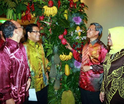 MUSTAPA MOHAMED