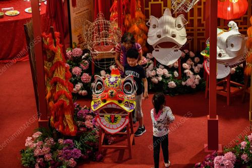 TINJAUAN TAHUN BARU CINA