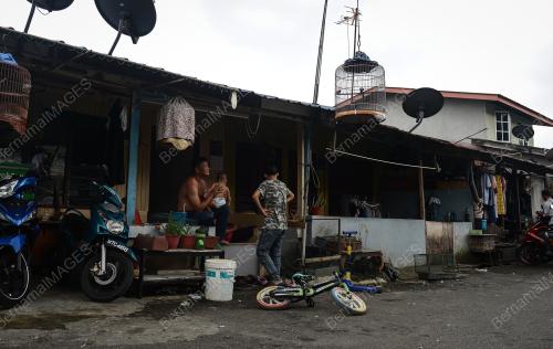 TINJAUAN AKTIVITI PETANG