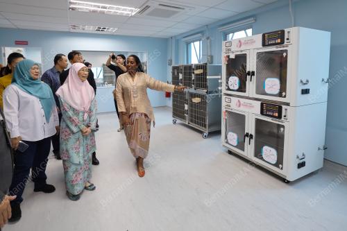 DATUK SERI DR WAN AZIZAH WAN ISMAIL