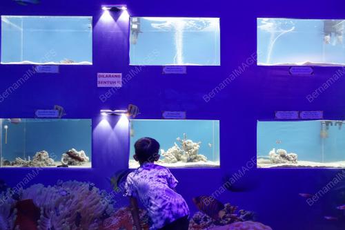 KL40_26112018_MAHA_BN201811214298