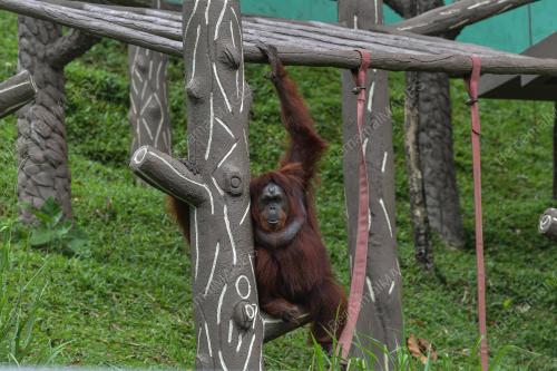 ZOO NEGARA