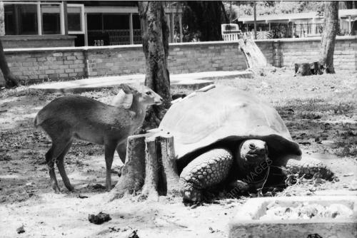 ZOO NEGARA