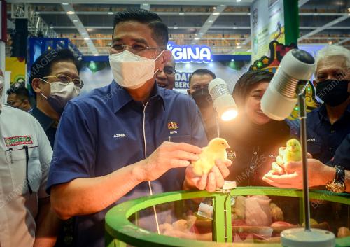 DATUK SERI MOHAMED AZMIN ALI