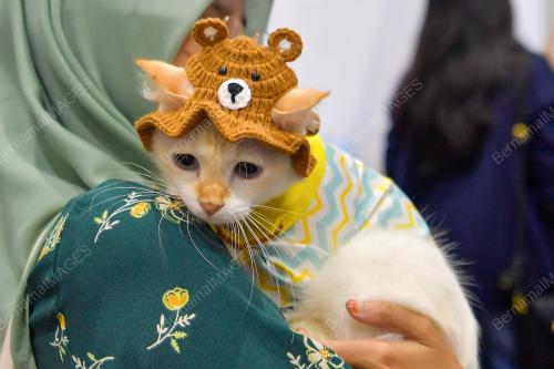 KARNIVAL KUCING MADANI