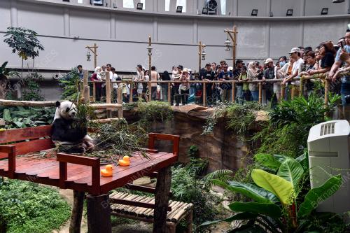 TINJAUAN ZOO NEGARA