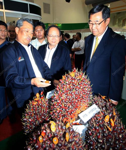 MUHYIDDIN MOHD YASSIN