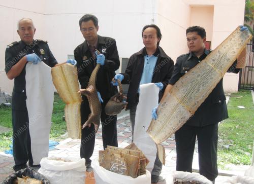 SAHARUDIN ANAN