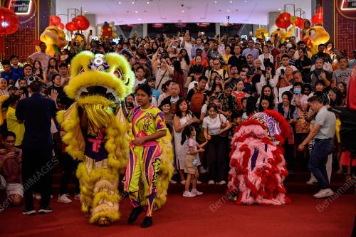 TINJAUAN TAHUN BARU CINA