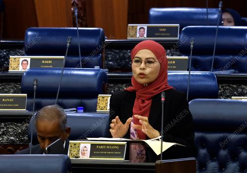 DATUK SERI DR NORAINI AHMAD