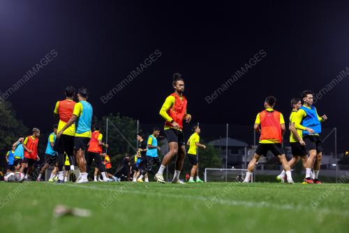 LATIHAN HARIMAU MALAYA