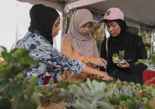 KL41_24112018_MAHA2018_BN201811214299