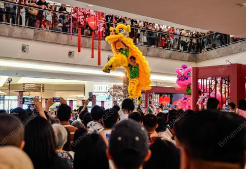 TINJAUAN TAHUN BARU CINA