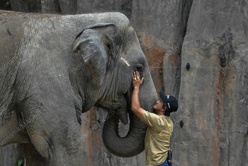 ZOO NEGARA
