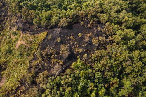 KEBAKARAN HUTAN TAMAN SERI TIMAH, BALAKONG