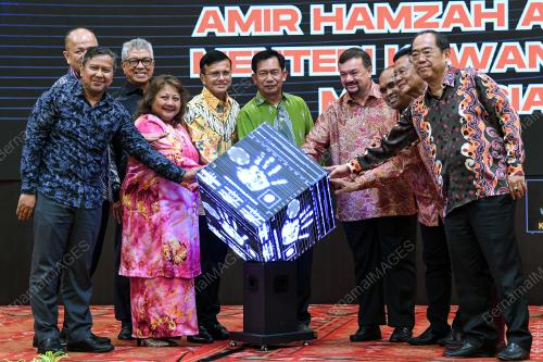 DATUK SERI AMIR HAMZAH AZIZAN