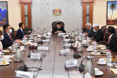 TAN SRI DR RAIS YATIM
