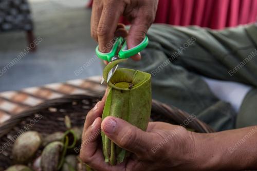 KL42_16062017_LEMANG