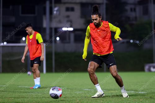 LATIHAN HARIMAU MALAYA