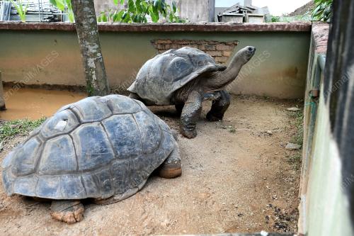 KL42_26112018_ZOO