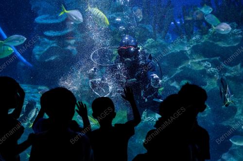TNJAUAN AKTIVITI CUTI SEKOLAH