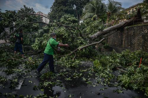 POKOK TUMBANG