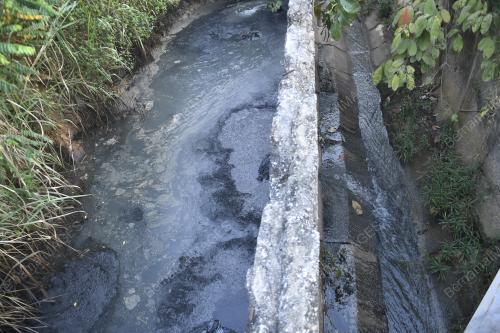 PENCEMARAN BAU YANG DIKESAN DI SUNGAI SELANGOR