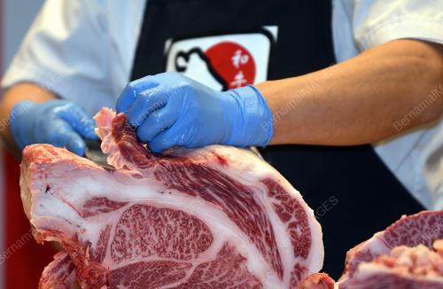 KL43_15032018_WAGYU_BN201803131746