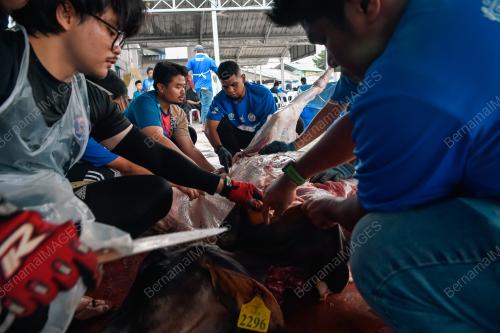 IBADAH KORBAN KAMPUNG BHARU