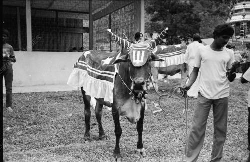 PERARAKAN