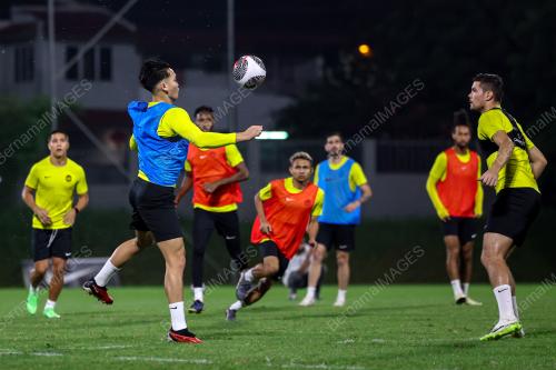 LATIHAN HARIMAU MALAYA
