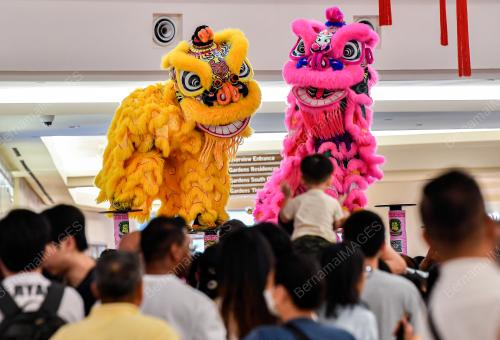 TINJAUAN TAHUN BARU CINA