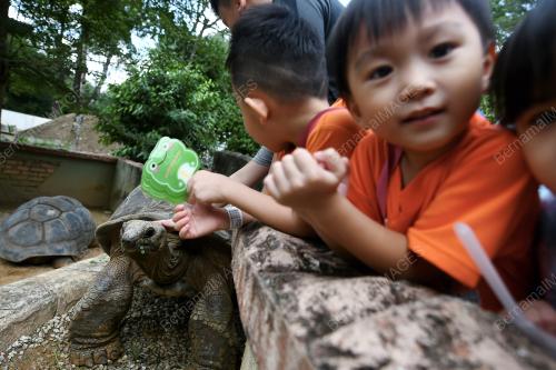 KL43_26112018_ZOO