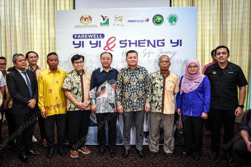 PENGHANTARAN PULANG ANAK PANDA