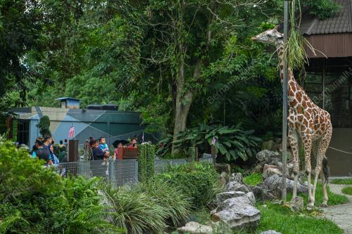 ZOO NEGARA