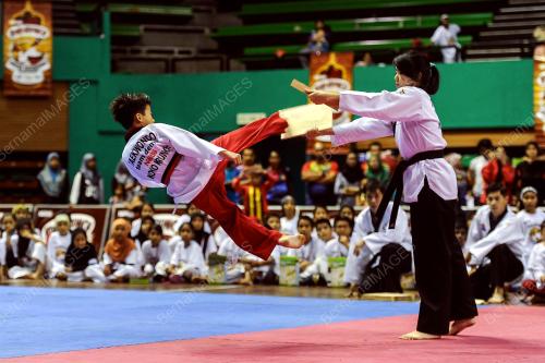 KL44_06052017_TAEKWONDO