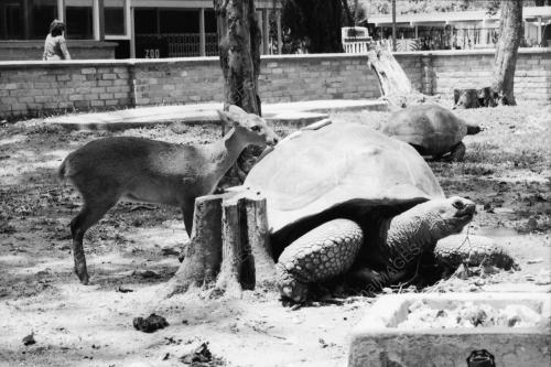 ZOO NEGARA